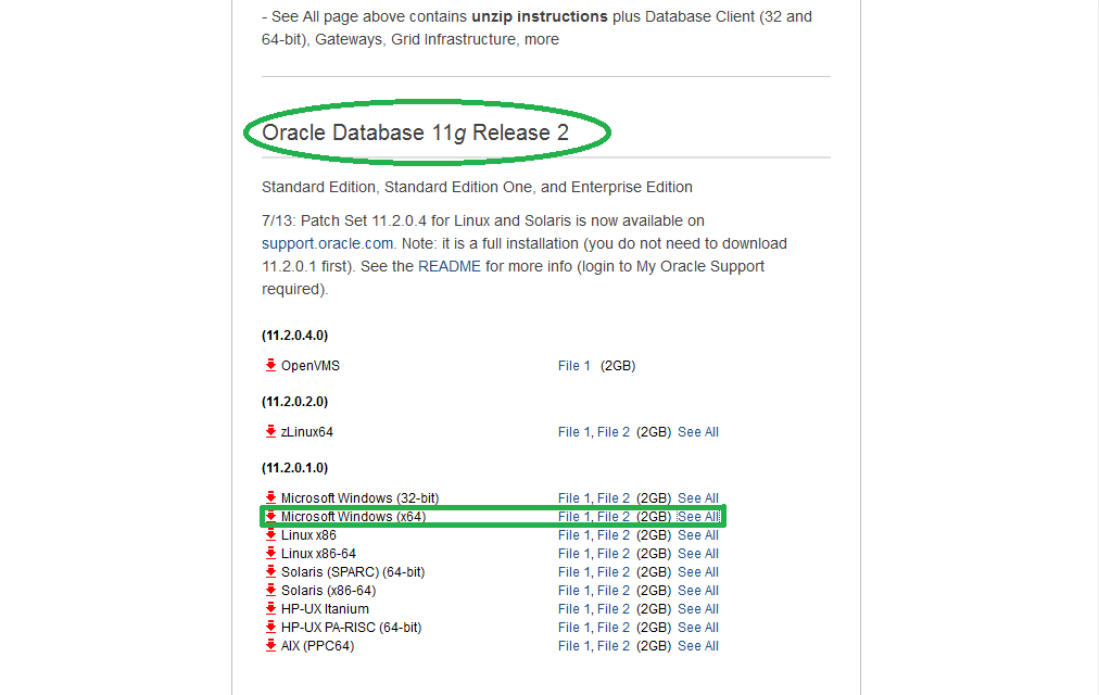 oracle database